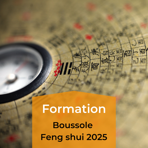 Boussole feng shui 2025